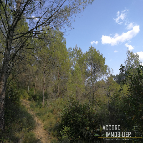 Offres de vente Terrain Cessenon-sur-Orb 34460